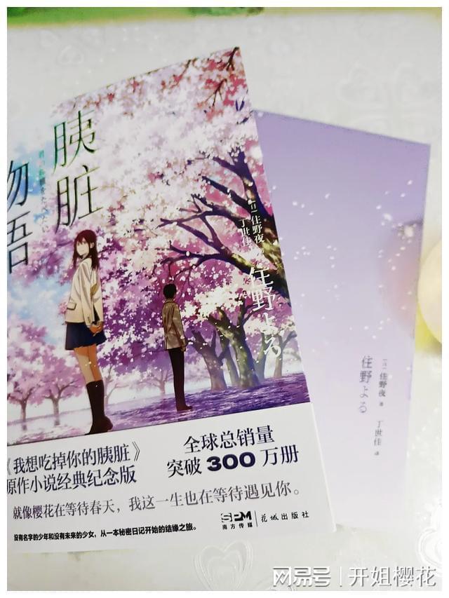 三皇子叶君是什么小说游戏画面