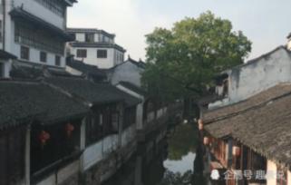 三小只僵尸的游戏时间8